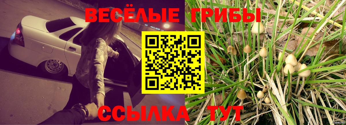 купить   Вход с VPN  Шахты  Галлюциногенные грибы MAGIC MUSHROOMS 