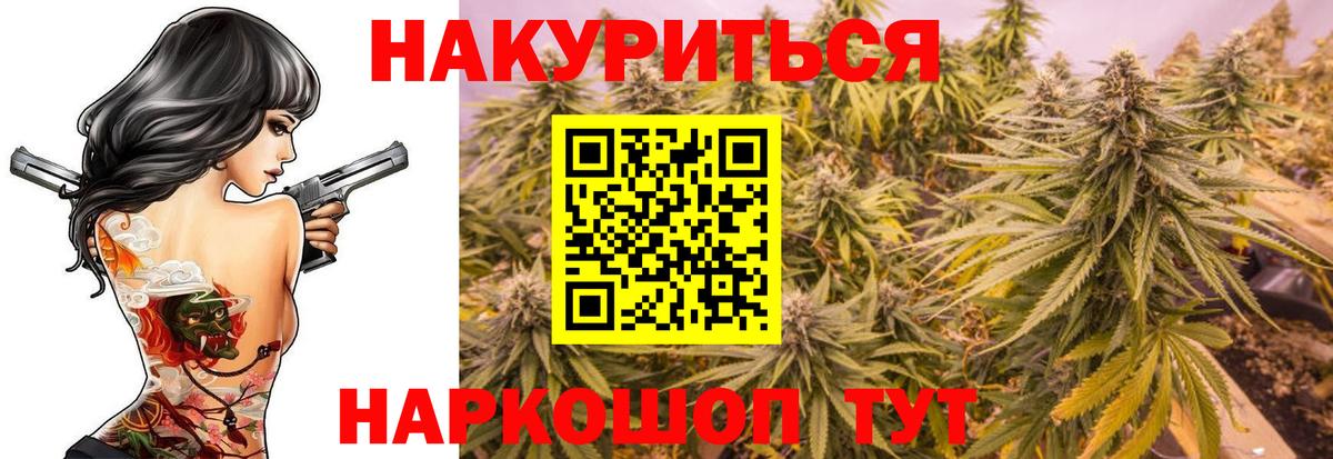 Каннабис сатива Шахты